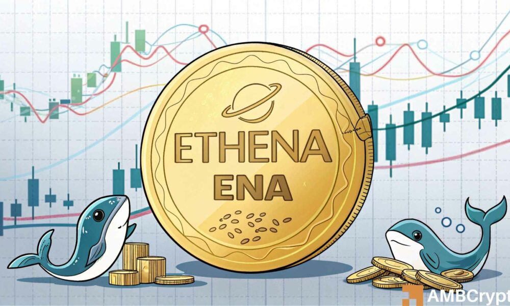 Ethena 将进行 6% 的调整 – 鲸鱼为何继续购买?